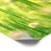 モーントラウム ポスター (角)