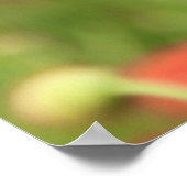 モーン2012 2 ポスター (角)