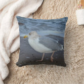 モーヴェンアムメーアー クッション (ブランケット)