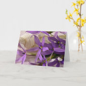 モーヴスターシャインローレンティア カード (黄色い花)