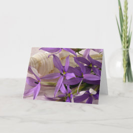 モーヴスターシャインローレンティア カード