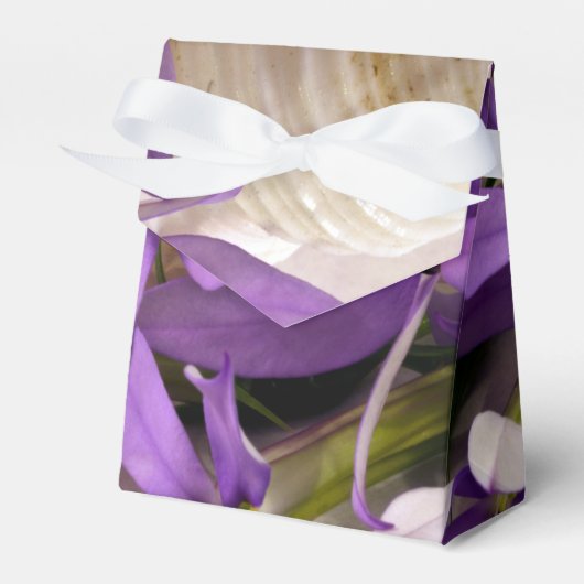 モーヴスターシャインローレンティア フェイバーボックス (正面サイド)