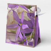 モーヴスターシャインローレンティア フェイバーボックス (裏面サイド)