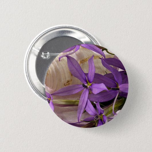 モーヴスターシャインローレンティア 缶バッジ (正面&裏面)