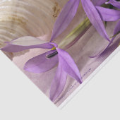 モーヴスターシャインローレンティア 薄葉紙 (詳細)