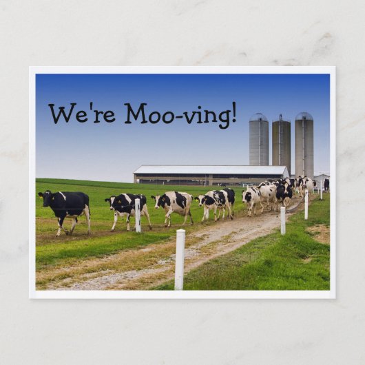 モー牛のおもしろい住所の変更 案内ポストカード (正面)
