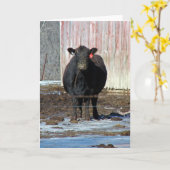 モー カード (黄色い花)