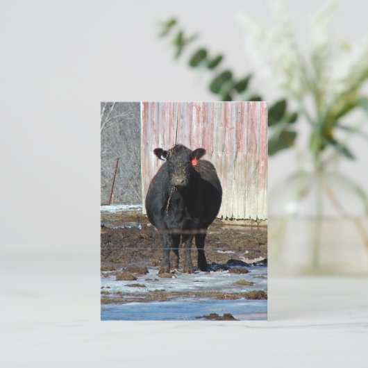 モー ポストカード (スタンド正面)