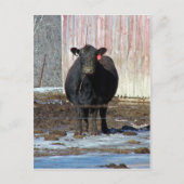 モー ポストカード (正面)