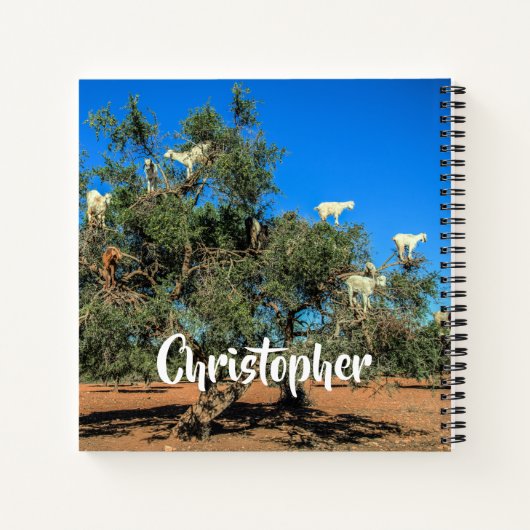 ヤおもしろいギの木のモロッコパーソナライズされた名 ノートブック (裏面)