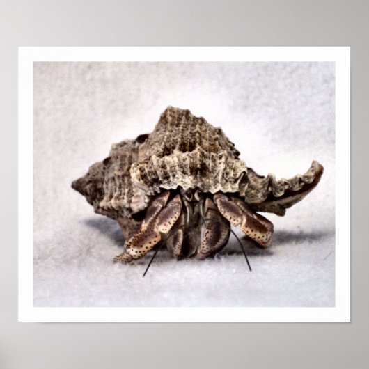 ヤガニ#1 ポスター (正面)