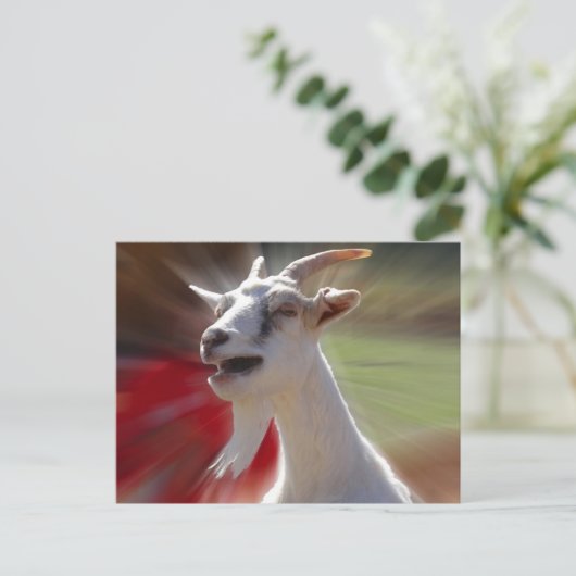 ヤギおもしろいのタリンク写真 ポストカード (スタンド正面)
