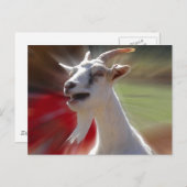 ヤギおもしろいのタリンク写真 ポストカード (正面/裏面)