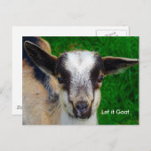ヤギおもしろいパロディ葉書 ポストカード (正面/裏面)