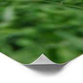 ヤギおもしろいパロディ、かわいいヤギの子 ポスター (角)