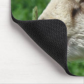 ヤギおもしろいパロディ、かわいいヤギの子 マウスパッド (コーナー)