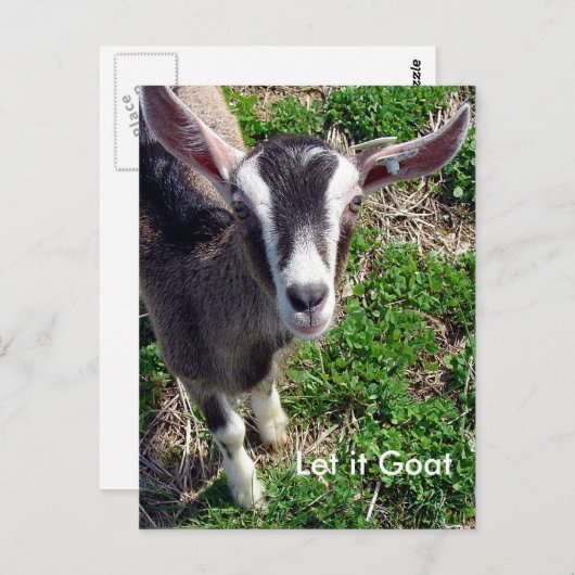 ヤギおもしろいパロディ ポストカード (正面/裏面)