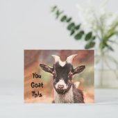 ヤギおもしろい可愛いヤギ ポストカード (スタンド正面)