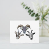 ヤギおもしろい飼 ポストカード (スタンド正面)