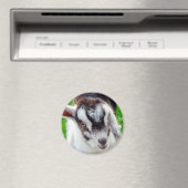 ヤギかわいらしガキ マグネット (インサイチュ (食洗機))