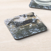 ヤギかセーム皮の黒い部屋の石の絵画、 コースター (左側)