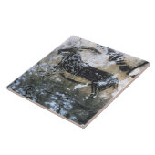 ヤギかセーム皮の黒い部屋の石の絵画、 タイル (側面)