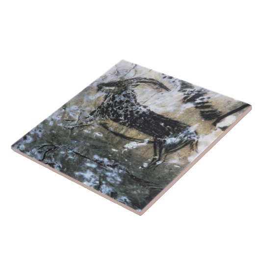 ヤギかセーム皮の黒い部屋の石の絵画、 タイル (側面)