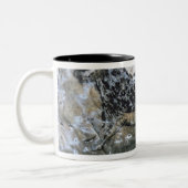 ヤギかセーム皮の黒い部屋の石の絵画、 ツートーンマグカップ (左)
