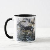 ヤギかセーム皮の黒い部屋の石の絵画、 マグカップ (左)