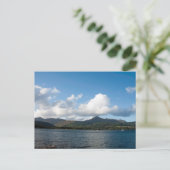 ヤギが倒れた ポストカード (スタンド正面)