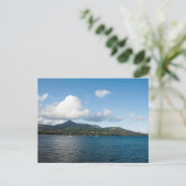 ヤギが倒れた ポストカード (スタンド正面)