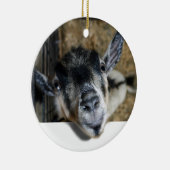 ヤギが外を見ている セラミックオーナメント (右)