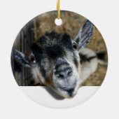 ヤギが外を見ている セラミックオーナメント (裏面)