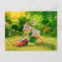 ヤギが芝刈り機で庭を破壊