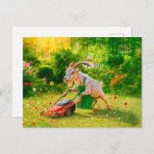 ヤギが芝刈り機で庭を破壊 シーズンポストカード (正面/裏面)