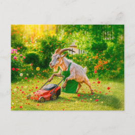 ヤギが芝刈り機で庭を破壊 シーズンポストカード