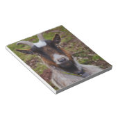 ヤギが閉まる。 ノートパッド (アングル)