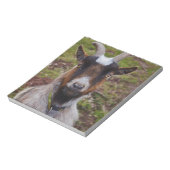 ヤギが閉まる。 ノートパッド (回転)