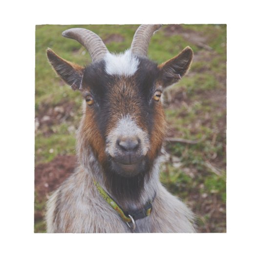 ヤギが閉まる。 ノートパッド (正面)