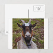 ヤギが閉まる。 ポストカード (正面/裏面)