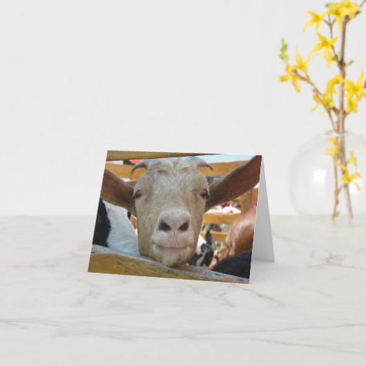 ヤギこんにちは カード (黄色い花)