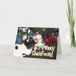 ヤギとのメリークリスマスプレゼント シーズンカード