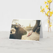 ヤギとヤギとヤギ(21) カード (黄色い花)