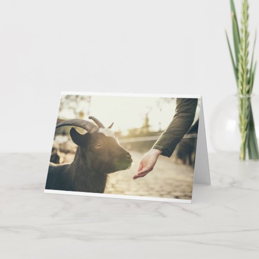 ヤギとヤギとヤギ(21) カード (正面)