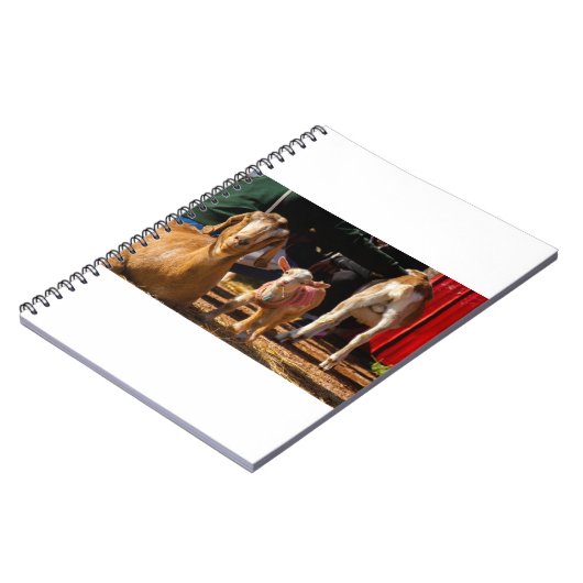 ヤギとヤギとヤギ(91) ノートブック (左側)