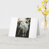 ヤギとヤギ カード (黄色い花)