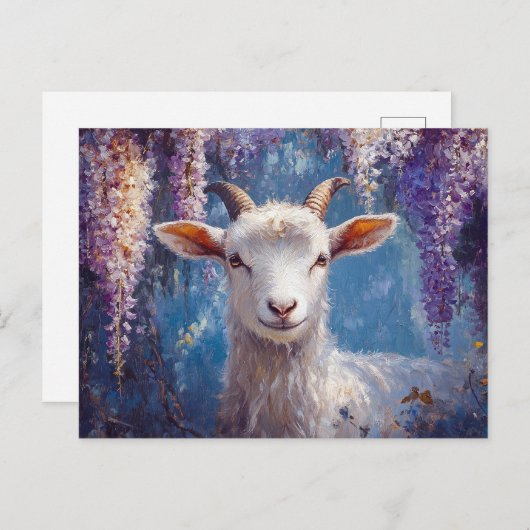 ヤギと紫の藤の花 ポストカード (正面/裏面)
