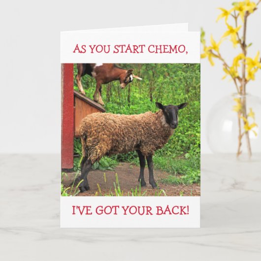 ヤギと羊のケモ心地よい カード (黄色い花)