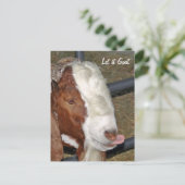 ヤギに任せろ、ボアビリー ポストカード (スタンド正面)