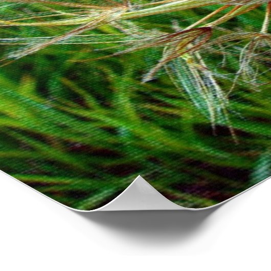 ヤギのひげ ポスター (角)